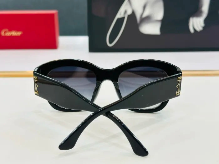 C - SONNENBRILLEN